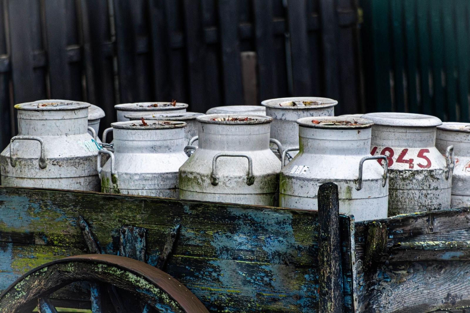 Traditional milk cans